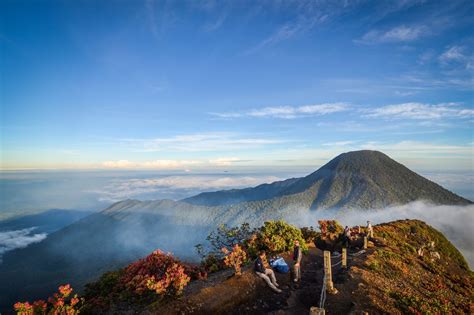 Booking online gunung gede  Mendaki Gunung Gede Pangrango Kini Wajib Daftar via